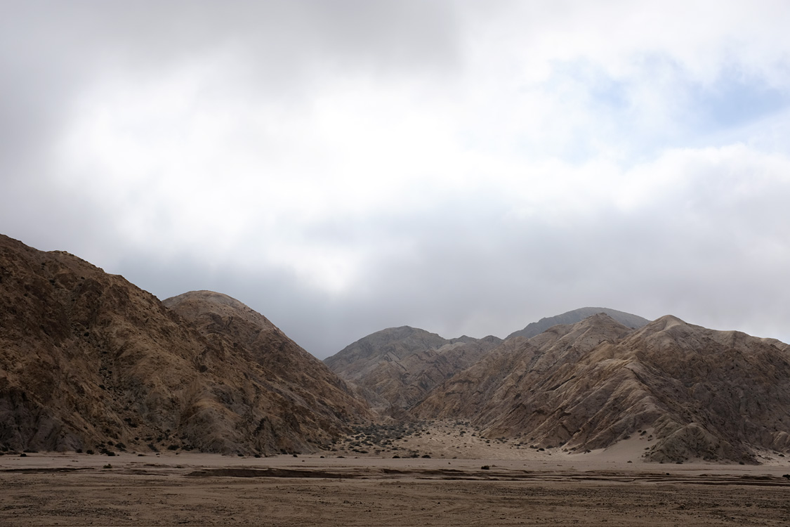 Parque Nacional Pan de Azucar (Region III, Chile)