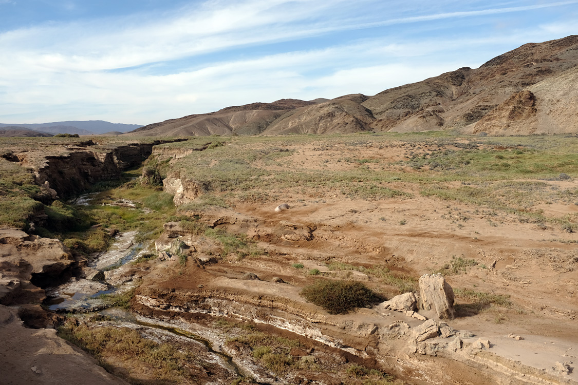 Parque Nacional Pan de Azucar (Region III, Chile)