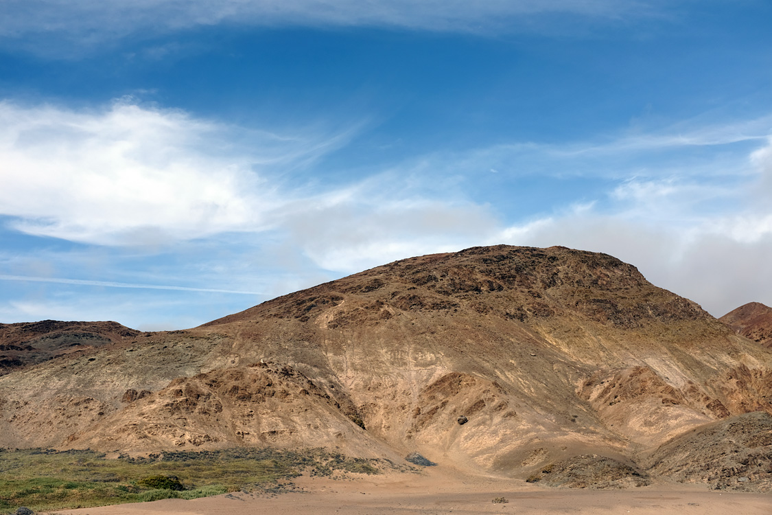 Parque Nacional Pan de Azucar (Region III, Chile)