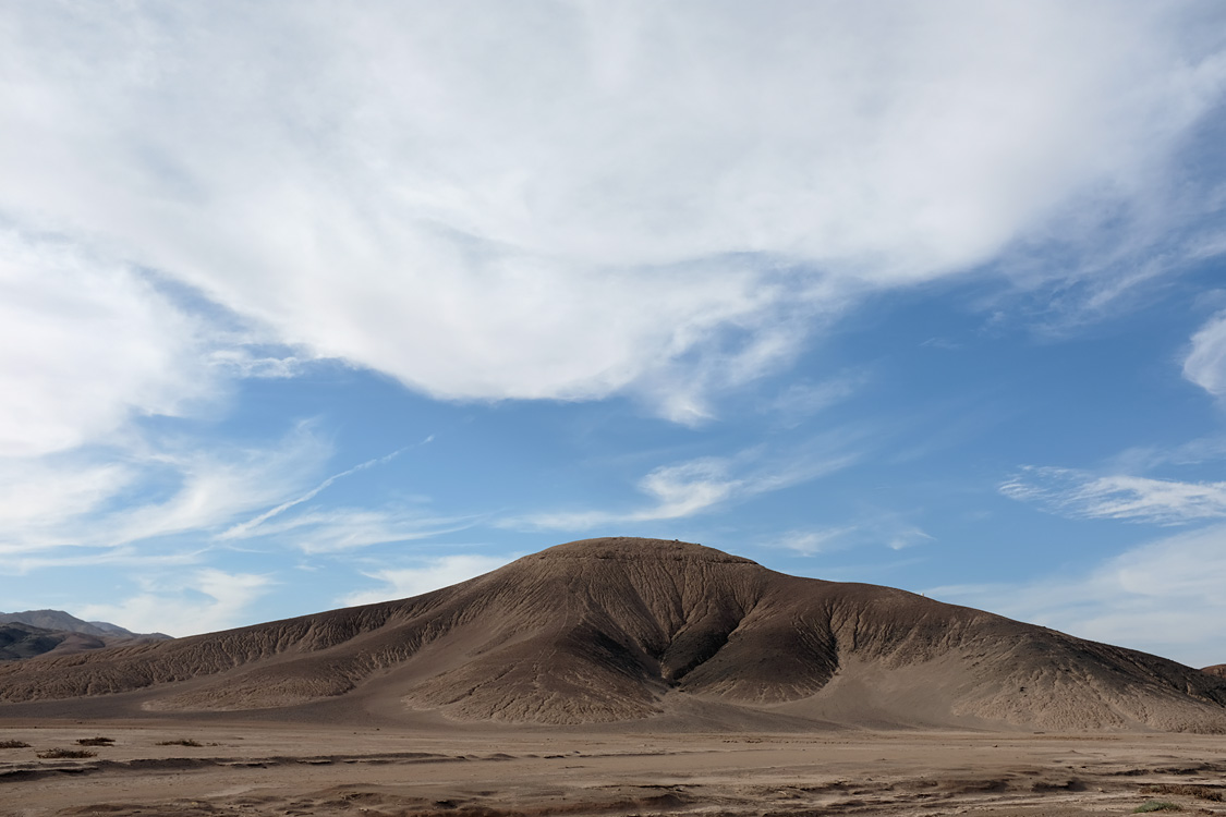 Parque Nacional Pan de Azucar (Region III, Chile)