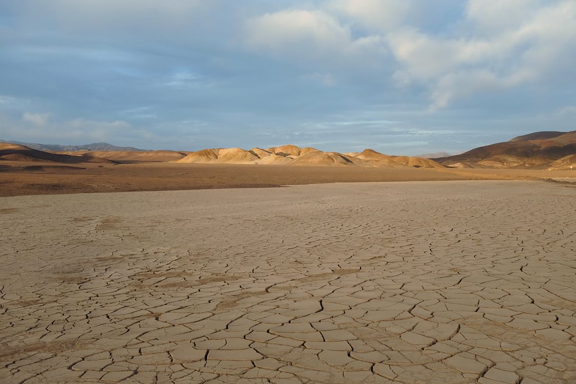 Parque Nacional Pan de Azucar (Region III, Chile)