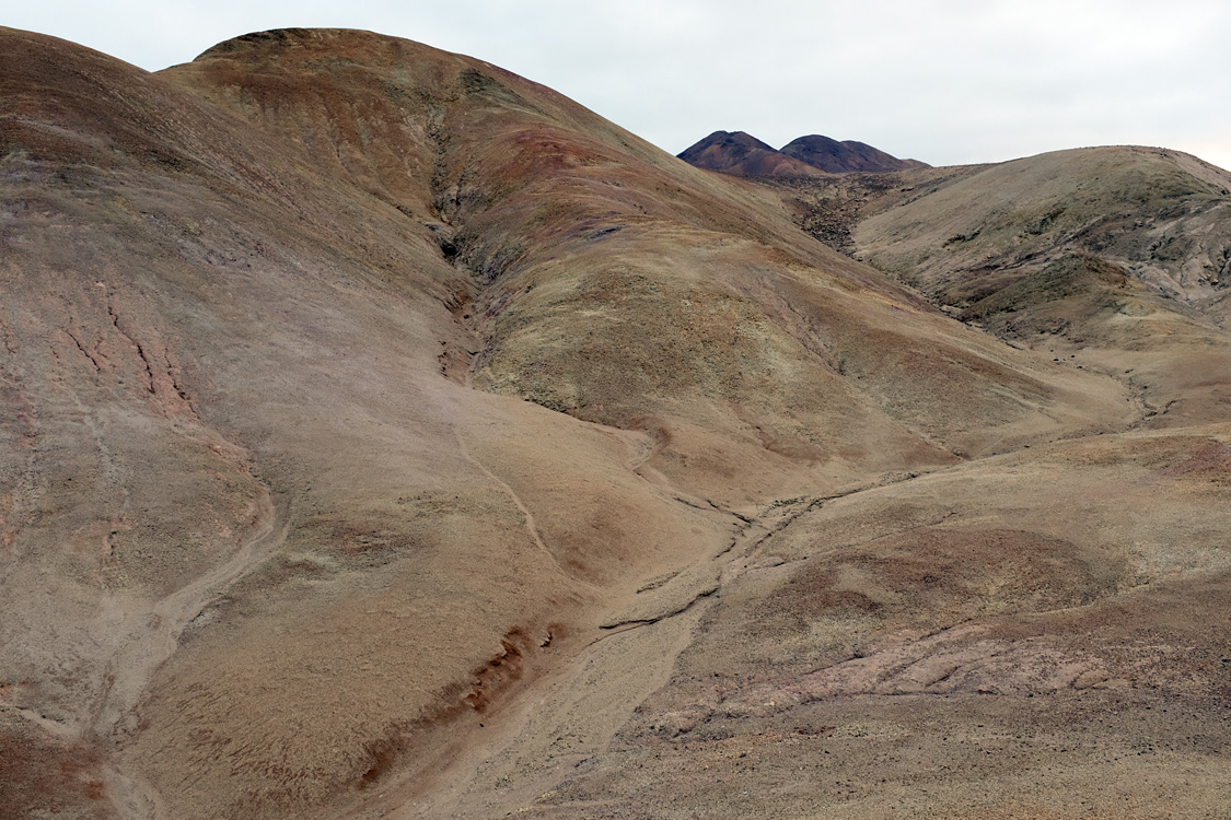 Parque Nacional Pan de Azucar (Region III, Chile)