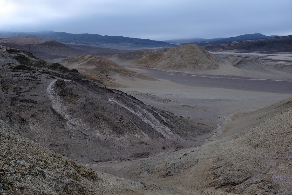 Parque Nacional Pan de Azucar (Region III, Chile)