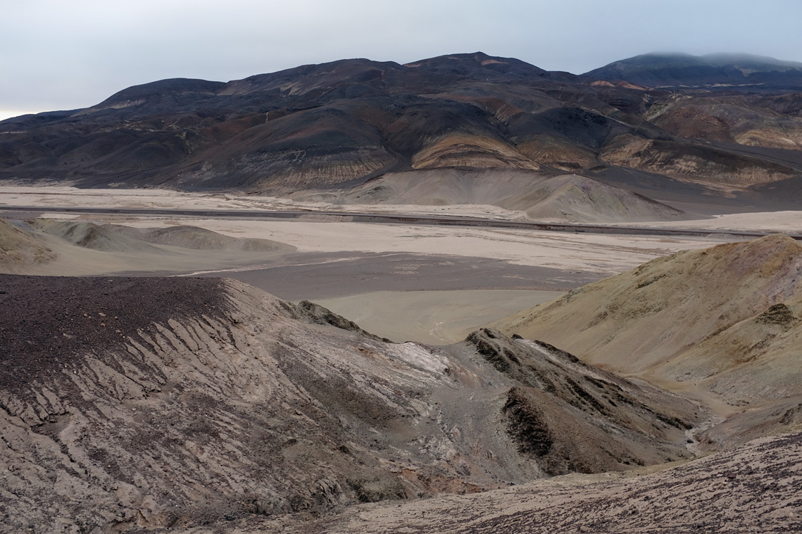 Parque Nacional Pan de Azucar (Region III, Chile)