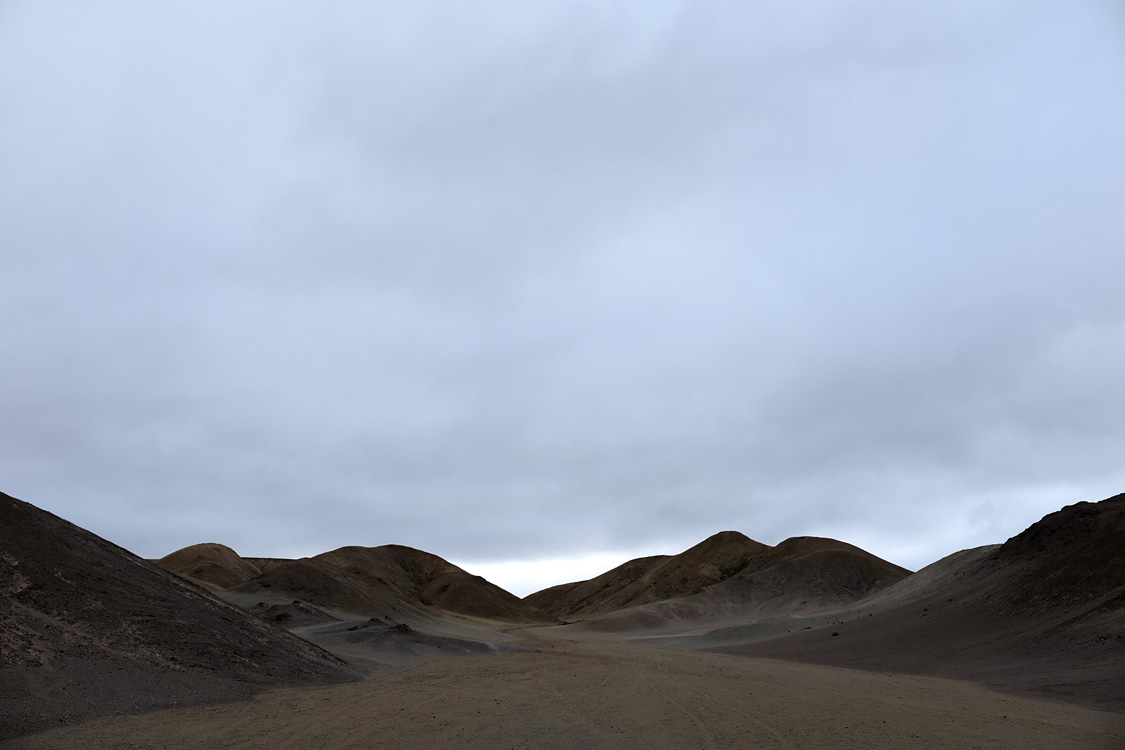 Parque Nacional Pan de Azucar (Region III, Chile)