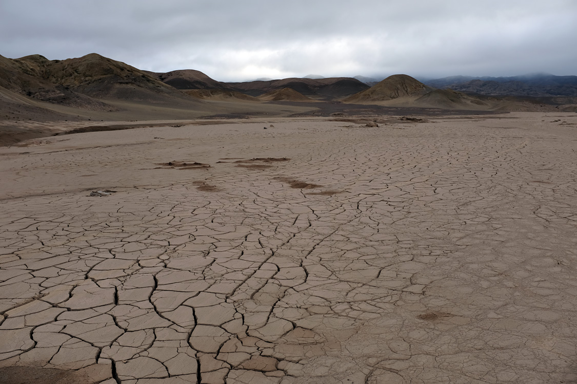 Parque Nacional Pan de Azucar (Region III, Chile)
