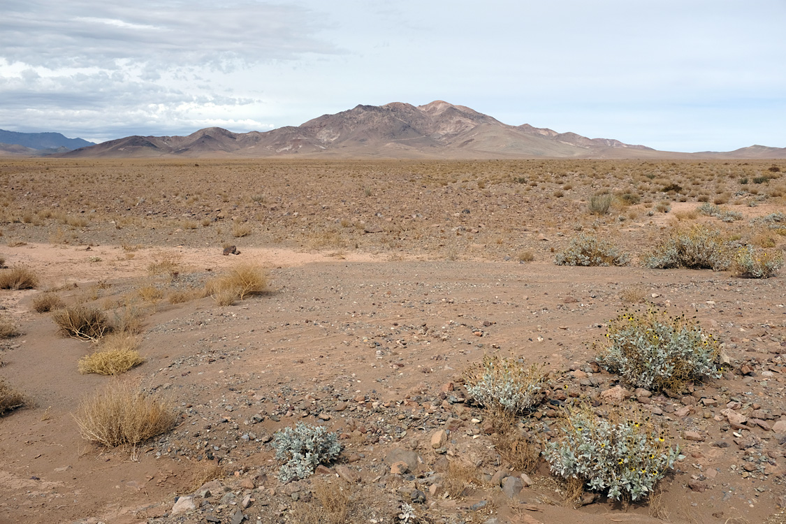 On the C-17 Road (Region III, Chile)
