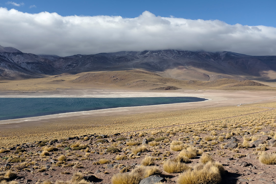 Laguna Miscanti (Around San Pedro de Atacama, Chile)