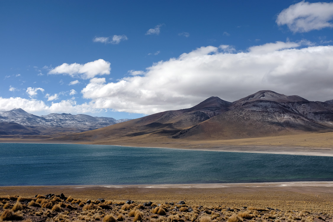 Laguna Miscanti (Around San Pedro de Atacama, Chile)