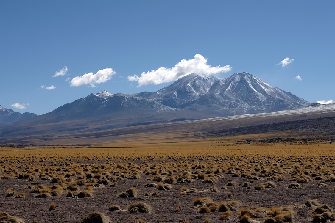Around Miscanti and Miniques lagunas, Road 23, looking N/E (Around San Pedro de Atacama, Chile)