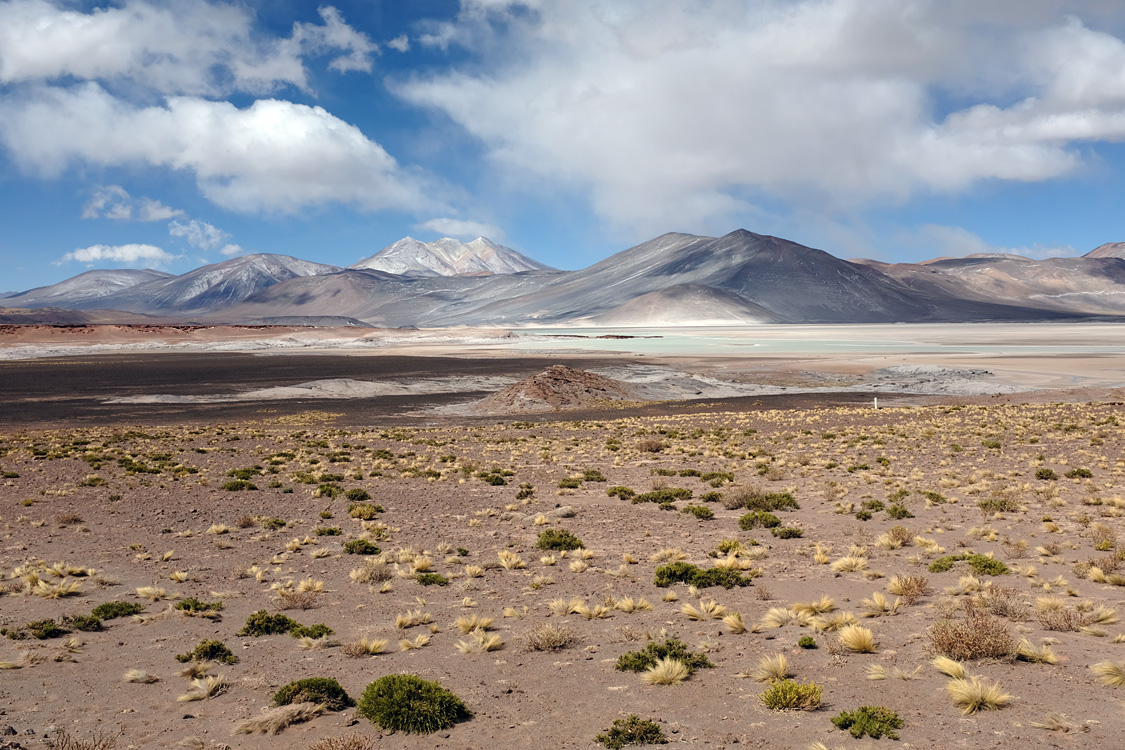 Salar de Talar and around (Around San Pedro de Atacama, Chile)