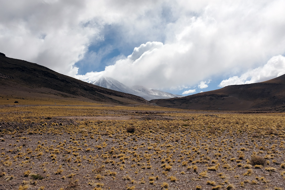 Salar de Talar and around (Around San Pedro de Atacama, Chile)