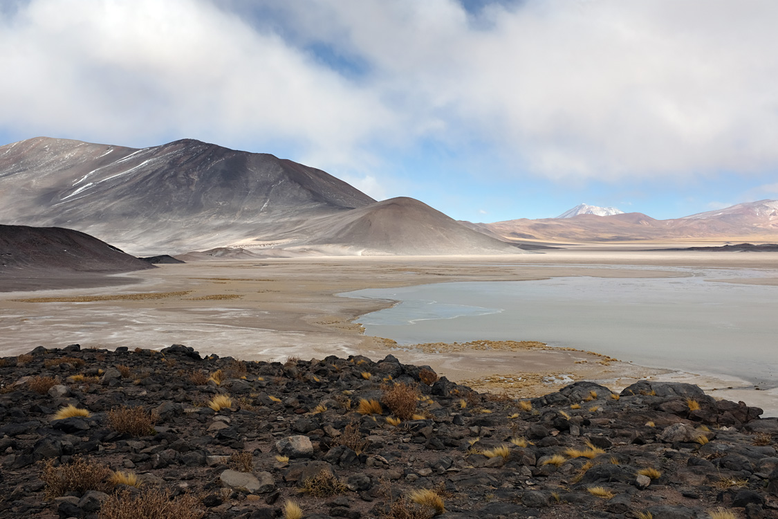 Salar de Talar and around (Around San Pedro de Atacama, Chile)