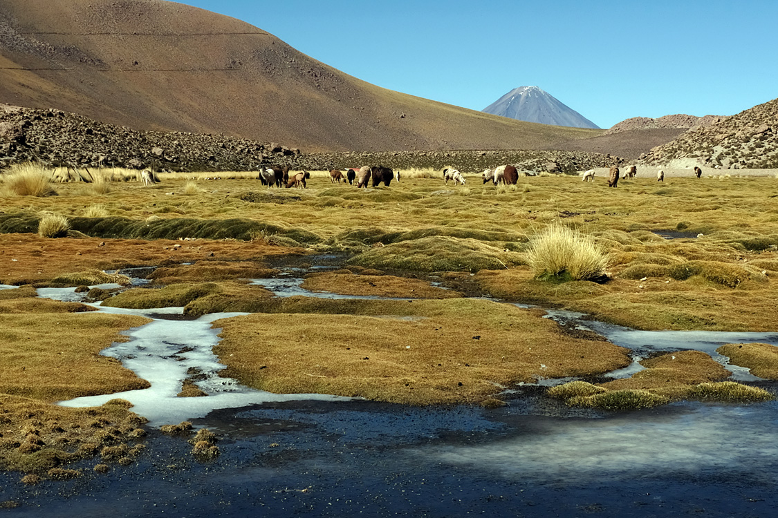 Road B-245, heading north from San Pedro de Atacama (Around San Pedro de Atacama, Chile)