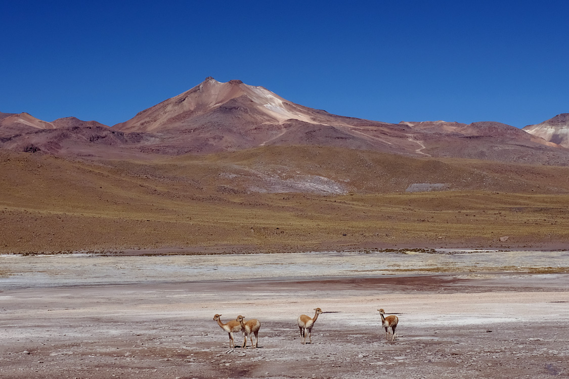 Road B-245, heading north from San Pedro de Atacama (Around San Pedro de Atacama, Chile)