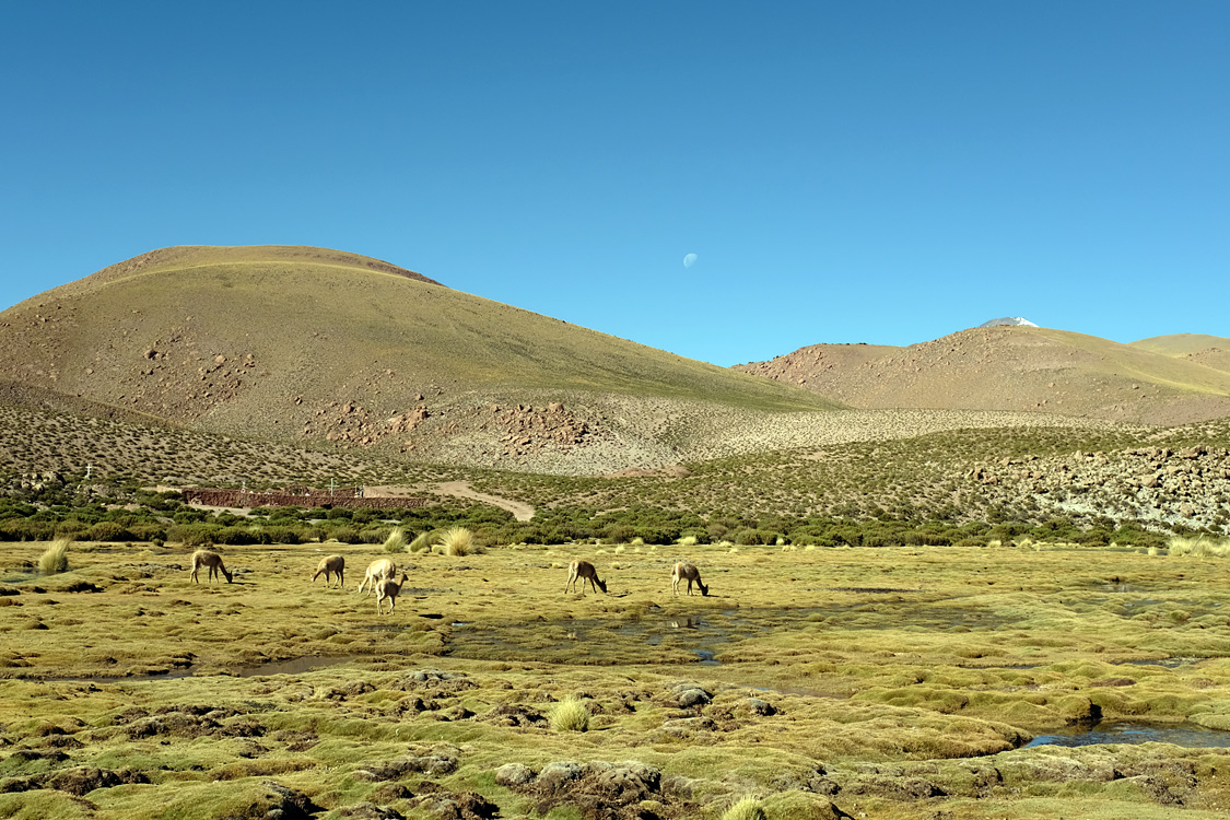 Road B-245, heading north from San Pedro de Atacama (Around San Pedro de Atacama, Chile)