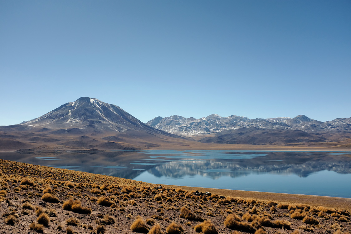 Laguna Miscanti (2nd day) (Around San Pedro de Atacama, Chile)