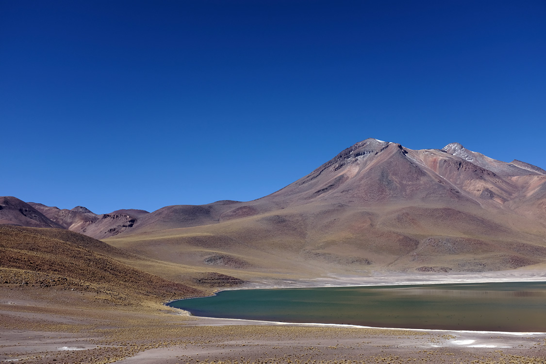 Laguna Miniques (2nd day) (Around San Pedro de Atacama, Chile)
