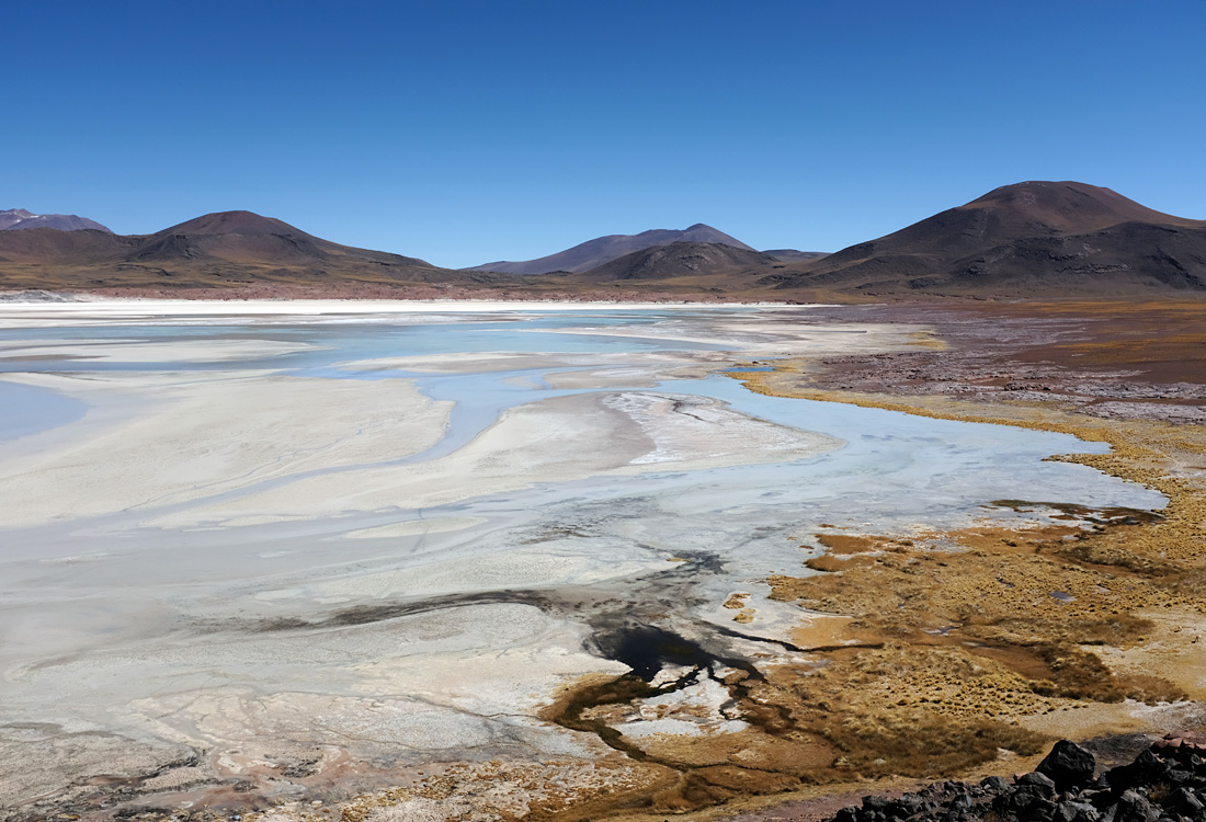 Salar de Talar (2nd day) (Around San Pedro de Atacama, Chile)