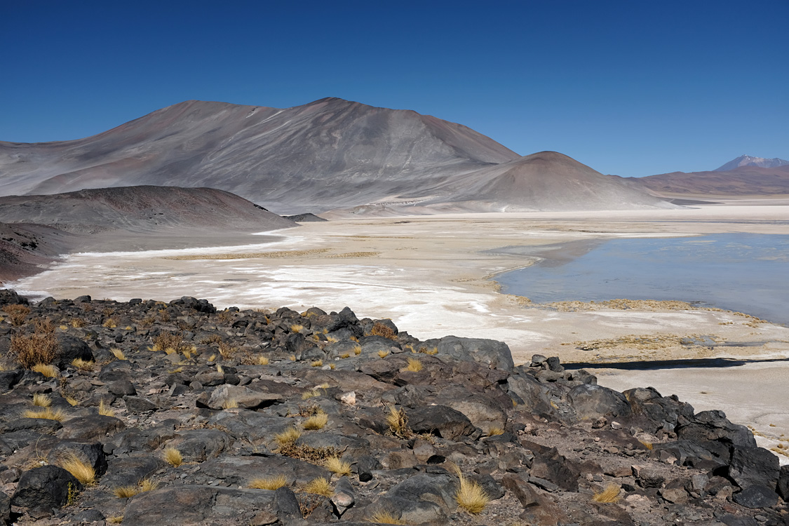 Salar de Talar (2nd day) (Around San Pedro de Atacama, Chile)
