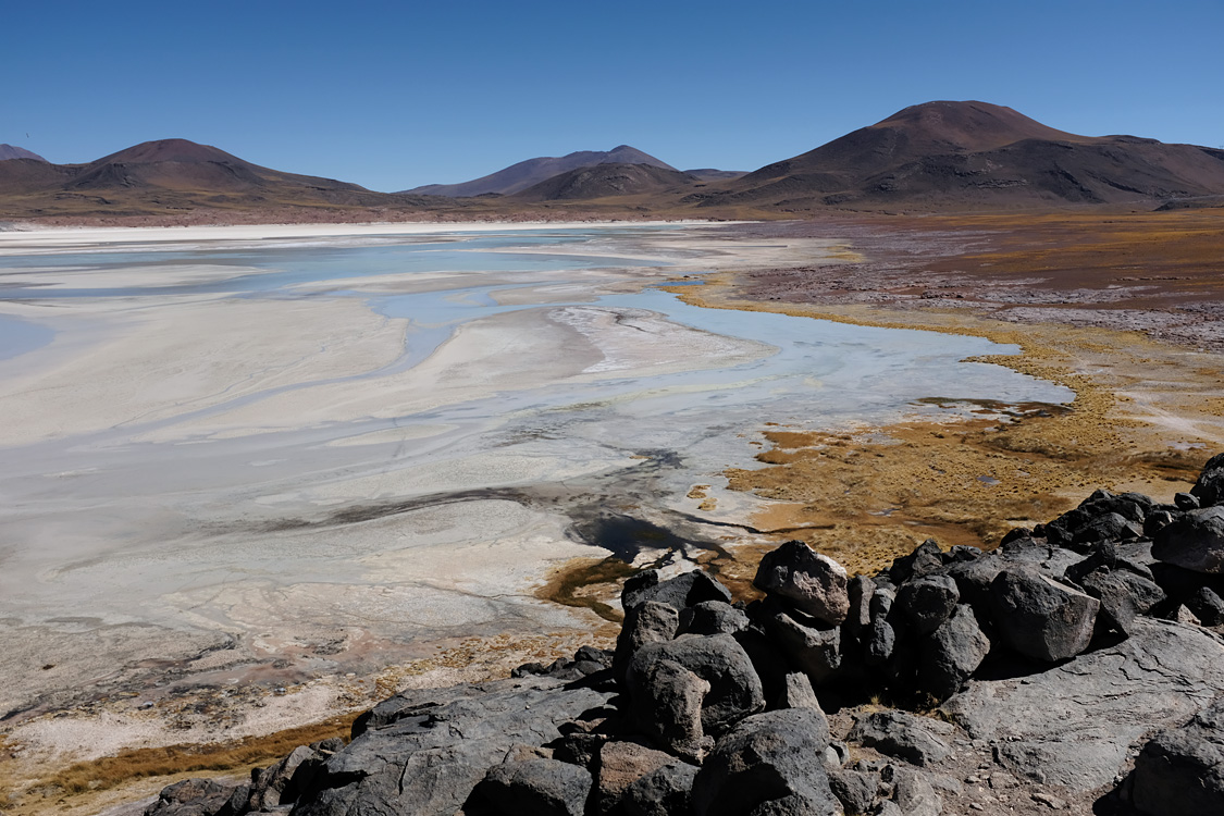 Salar de Talar (2nd day) (Around San Pedro de Atacama, Chile)