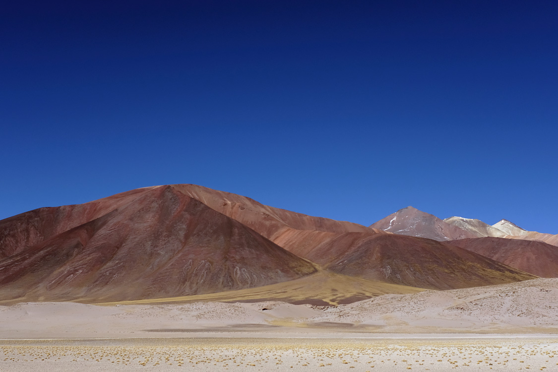 Around Laguna Tayajto (Around San Pedro de Atacama, Chile)