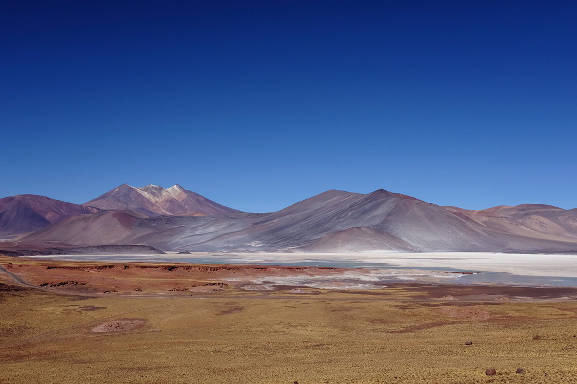 Around Laguna Tayajto (Around San Pedro de Atacama, Chile)
