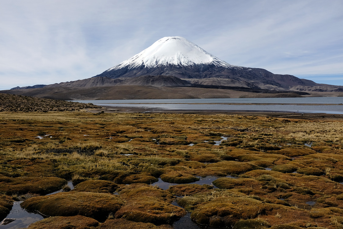 Parinacota volcano from the Chungara lake (Parque Nacional Lauca)