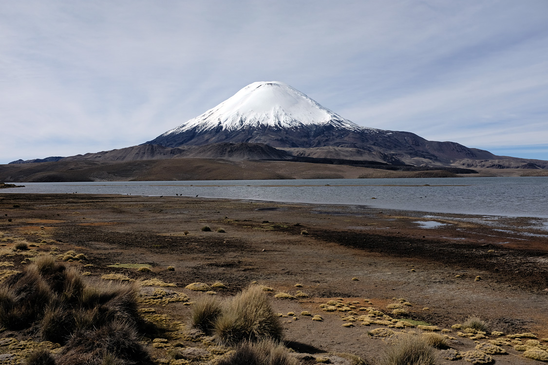 Parinacota volcano from the Chungara lake (Parque Nacional Lauca)