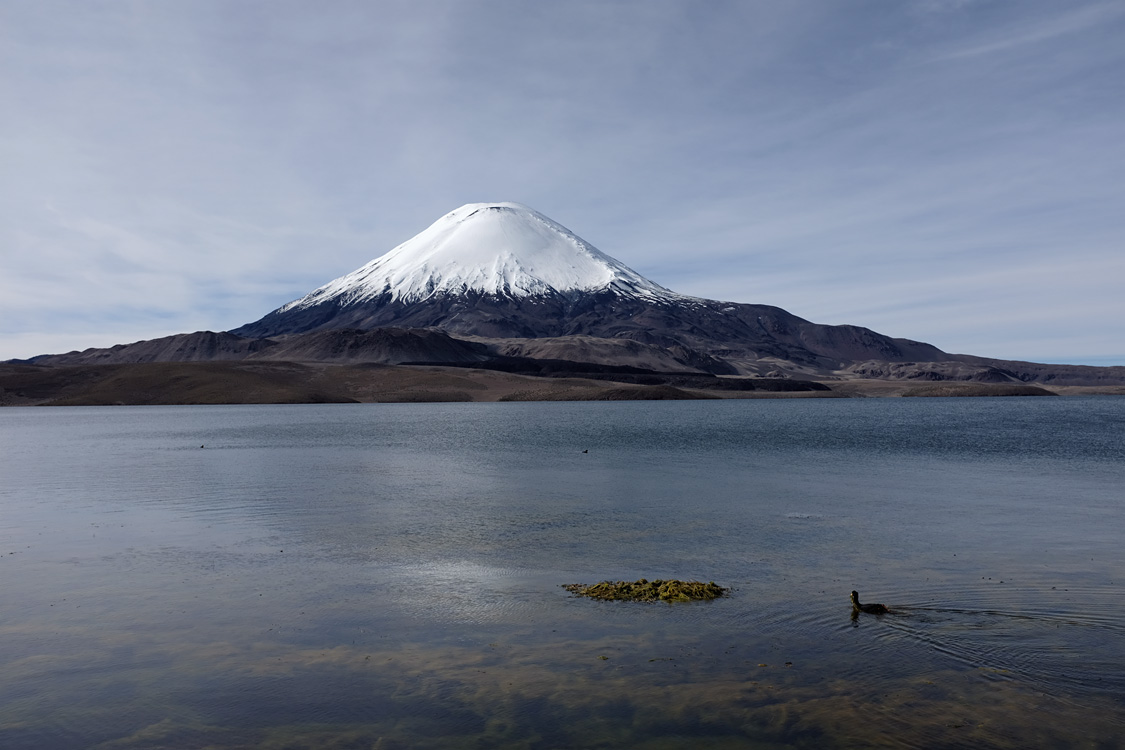 Parinacota volcano from the Chungara lake (Parque Nacional Lauca)