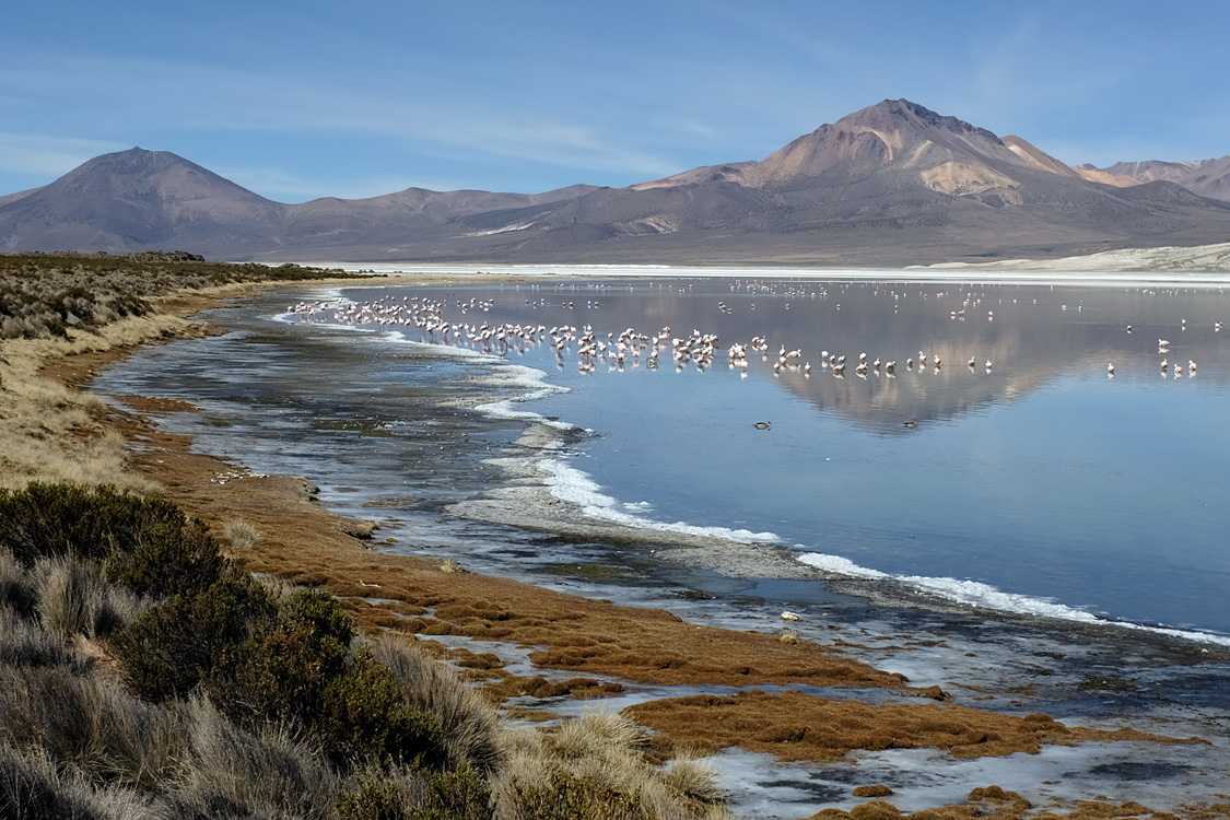 Salar de Surire (Monumento natural Salar de Surire)