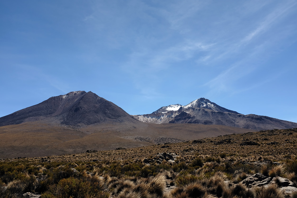 Salar de Surire (Monumento natural Salar de Surire)