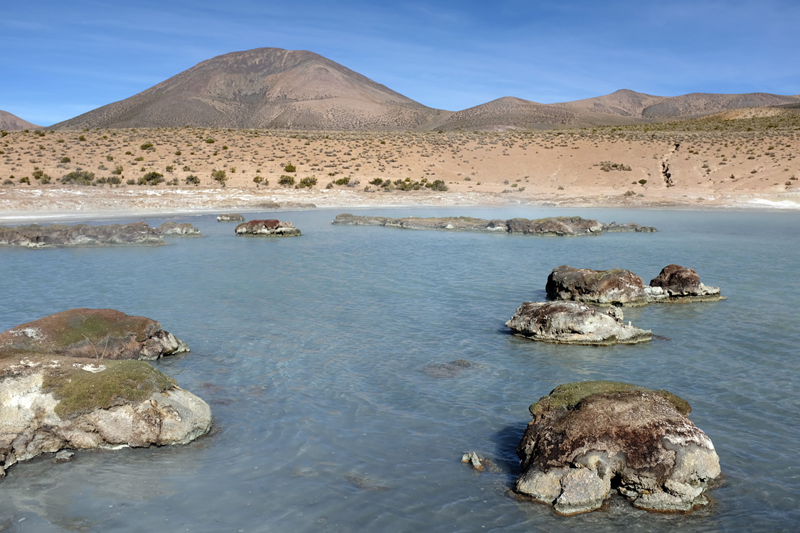 Thermas de Polloquere (Monumento natural Salar de Surire)