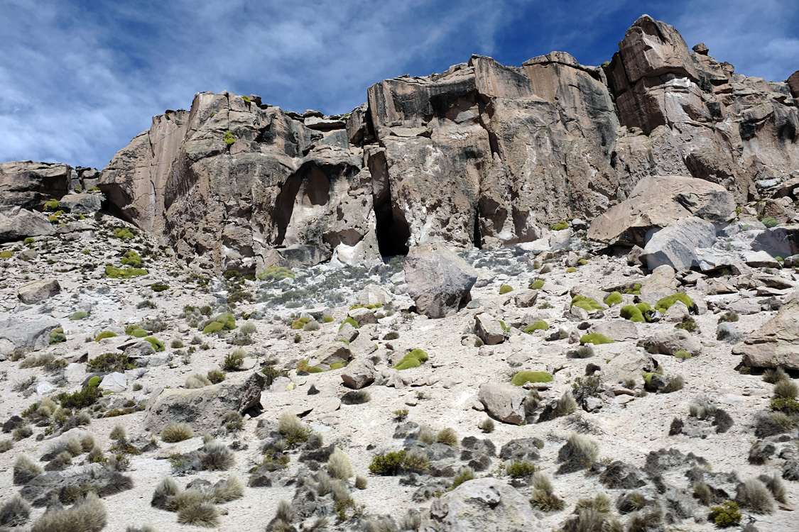 On the Road 11, from Putre to lake Chungara (Parque Nacional Lauca)