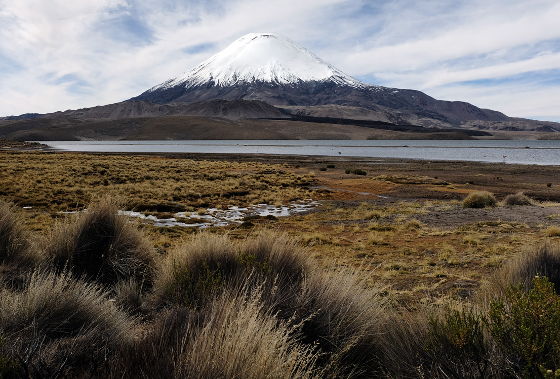 Parinacota volcano from the Chungara lake (Parque Nacional Lauca)
