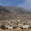 Parque Nacional Llanos de Challe (Region III, Chile)