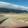 Laguna Miscanti (Around San Pedro de Atacama, Chile)