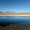 Laguna de Cejar (Around San Pedro de Atacama, Chile)