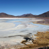 Salar de Talar (2nd day) (Around San Pedro de Atacama, Chile)