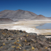 Salar de Talar (2nd day) (Around San Pedro de Atacama, Chile)