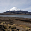 Parinacota volcano from the Chungara lake (Parque Nacional Lauca)