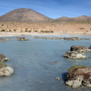 Thermas de Polloquere (Monumento natural Salar de Surire)