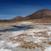 Thermas de Polloquere (Monumento natural Salar de Surire)
