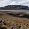 Parinacota volcano from the Chungara lake (Parque Nacional Lauca)