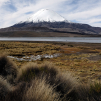 Parinacota volcano from the Chungara lake (Parque Nacional Lauca)