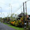 Indonesia, june 2022