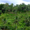Indonesia, june 2022