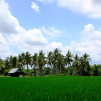 Indonesia, november 2022