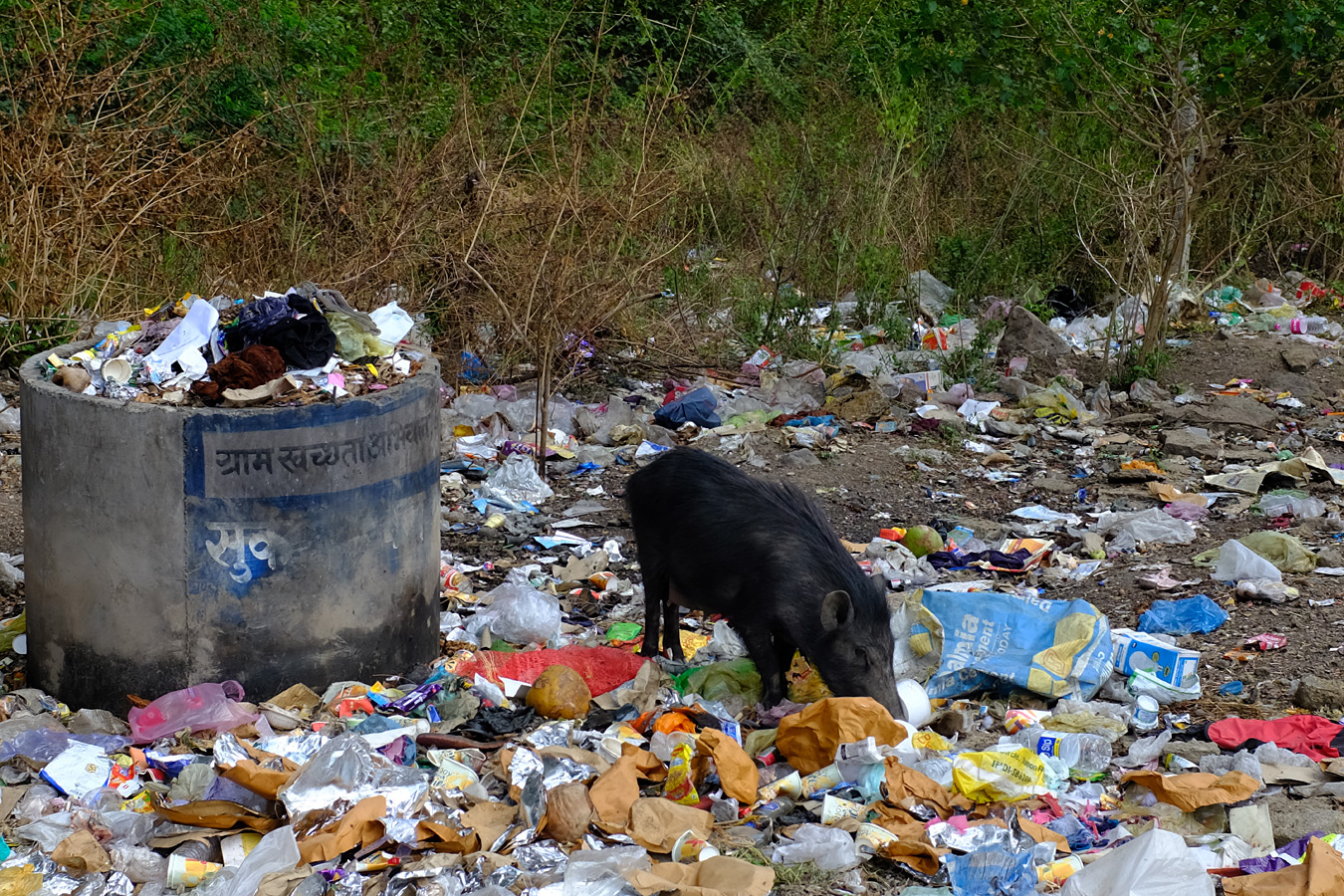India, march 2023