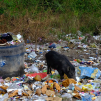 India, march 2023
